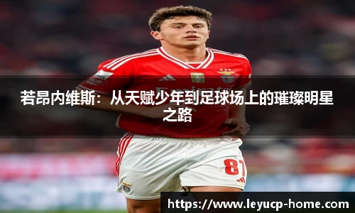 若昂内维斯：从天赋少年到足球场上的璀璨明星之路